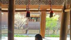 屋外と屋内の境のほぼない家で『雪ですね!袖口が凍ってきてしまったこと、素敵!』などと言う平安時代の人の根性よ「雅は我慢」