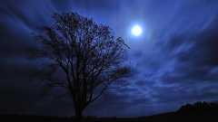 【閲覧注意】死ぬ程洒落にならない怖い話を集めてみない?『丑の刻参りの呪い』『夢人形』『鬼女』 : 哲学ニュースnwk