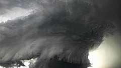 吹いた画像・笑える動画・癒し画像スレ『可愛いカワウソ』 : 哲学ニュースnwk