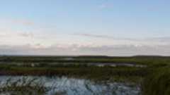 『印旛沼、まぼろしの乙女』(1)- ぼんやり上手