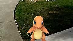 出雲大社、境内での『ポケモンGO』プレイを禁止にすると発表 | インサイド