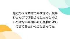 最近のスマホはでかすぎる。携帯ショップで店員さんにもっと小さいのはないか聞いたら怪物に対して言うみたいなこと言ってた