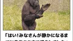 【朗報】史上最強のボケて、ついに決まるwwwwwwww : 哲学ニュースnwk