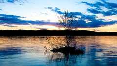 20年後:インターネットの自由という夢の死