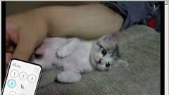 ITmedia News:YouTubeをテレビで“ダラ見” はてな、Wii対応の動画サービス (1/2)