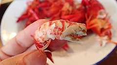 自給自足のザリガニパーティーをやってみたい