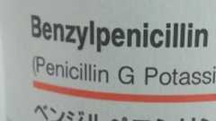 自宅でペニシリン(抗生物質)を作る方法【2025.07.15更新】 /バイオハッカー・ジャパン