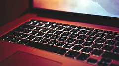 キラキラ夫婦が吊し上げ…「豚解体風呂」とホームレス記事“炎上”事件から考える言論の自由 | 文春オンライン