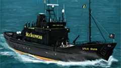 【捕鯨】 シーシェパード、今度はクロマグロ漁を妨害すると宣言 : 痛いニュース(ノ∀`)