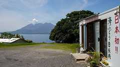 月に50万円売る「魚の自販機」大ヒットの舞台裏