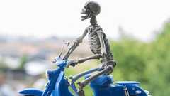 あなたが死んだあと、体に何が起きるのか?