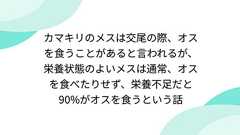 カマキリのメスは交尾の際、オスを食うことがあると言われるが、栄養状態のよいメスは通常、オスを食べたりせず、栄養不足だと90%がオスを食うという話