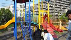 東京の公園で高い放射線量 地中に何らかの発生源か:朝日新聞デジタル