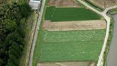 活断層の長さ、想定以上 熊本地震、地表に「ずれ」:朝日新聞デジタル