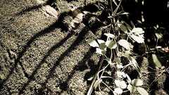 Lingoesというポップアップ辞書が尋常じゃない - plaisir.genxx.com