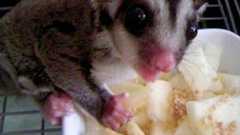 エジプトで高級ホテルに泊まった女友達がガイドから「ホテル内でアラブの男を見たらすぐ逃げて下さい。エレベーターでも同乗しないように。このホテルの最上階を借り切っている階級の