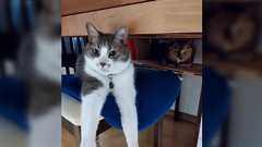 海外で観光ビザで働いてる日本人、沢山います。