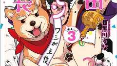 織田信長が柴犬として現世によみがえった! 群雄割拠を極めるハートフルギャグ漫画 | ダ・ヴィンチWeb