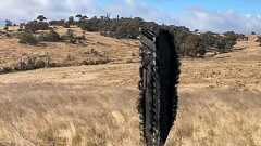 スペースX宇宙船の破片、豪牧場で発見