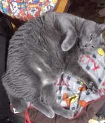 f:id:MonroeAkira:20251207162426j:image f:id:MonroeAkira:20251207162426j:image