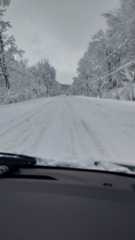 f:id:MonroeAkira:20251211061807j:image f:id:MonroeAkira:20251211061807j:image