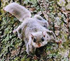 f:id:MonroeAkira:20251215090722j:image f:id:MonroeAkira:20251215090722j:image