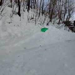 f:id:MonroeAkira:20251215103405j:image f:id:MonroeAkira:20251215103405j:image