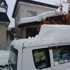 f:id:MonroeAkira:20251215113711j:image f:id:MonroeAkira:20251215113711j:image