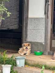 f:id:Tama-kerne:20250925224136j:image f:id:Tama-kerne:20250925224136j:image