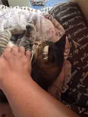 f:id:Tama-kerne:20250925224210j:image f:id:Tama-kerne:20250925224210j:image