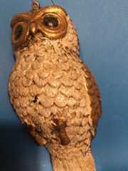 f:id:aoi_fukurou:20220319230016j:plain