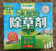 f:id:coedowalk:20210606172332j:plain