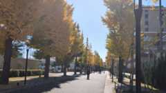 f:id:comet-san:20251128124654j:image f:id:comet-san:20251128124654j:image