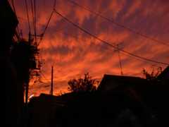 f:id:goldhead:20091115205147j:image f:id:goldhead:20091115205147j:image