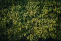 f:id:gorotaku:20190315144746j:plain f:id:gorotaku:20190315144746j:plain