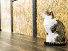 f:id:gorotaku:20190921151142j:plain f:id:gorotaku:20190921151142j:plain