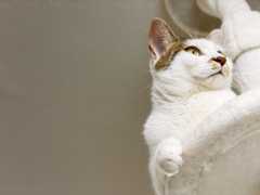 f:id:gorotaku:20190921153842j:plain f:id:gorotaku:20190921153842j:plain