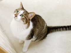 f:id:gorotaku:20190921154358j:plain f:id:gorotaku:20190921154358j:plain