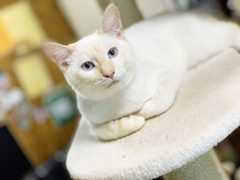 f:id:gorotaku:20190921160546j:plain f:id:gorotaku:20190921160546j:plain