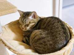 f:id:gorotaku:20190921181121j:plain f:id:gorotaku:20190921181121j:plain