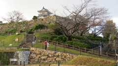 f:id:hana7_1111:20201123162541j:plain