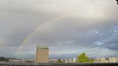 f:id:hana7_1111:20201123222057j:plain