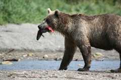 f:id:hana7_1111:20211002194602j:plain