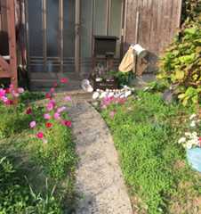 f:id:hayashi_77:20151024155924j:plain f:id:hayashi_77:20151024155924j:plain