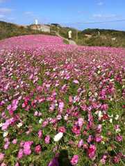 f:id:hayashi_77:20151220003816j:plain f:id:hayashi_77:20151220003816j:plain