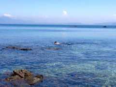 f:id:hayashi_77:20151220003956j:plain f:id:hayashi_77:20151220003956j:plain