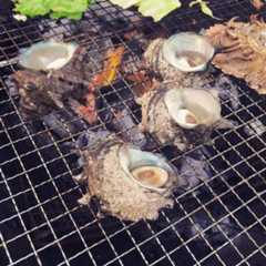 f:id:hayashi_77:20151220004729j:plain f:id:hayashi_77:20151220004729j:plain