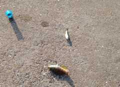 f:id:hayashi_77:20151220013002j:plain f:id:hayashi_77:20151220013002j:plain