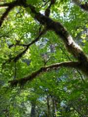 f:id:hitotoshoku:20210808041305j:image f:id:hitotoshoku:20210808041305j:image