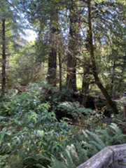 f:id:hitotoshoku:20210808041324j:image f:id:hitotoshoku:20210808041324j:image